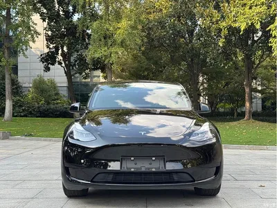 2022 Tesla Model Y Rear-Wheel Drive Version, фото 3, лот 11574745