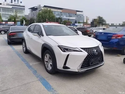 2020 Lexus UX 260h Explore Cool Edition, фото 4, лот 10887278