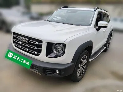 2021 Haval Big Dog 1.5T DCT 2WD Border Collie Edition, фото 2, лот 10361267