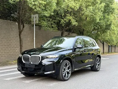 2026 BMW X5 xDrive 30Li Luxury M Sport Night Edition Package, фото 1, лот 10463160