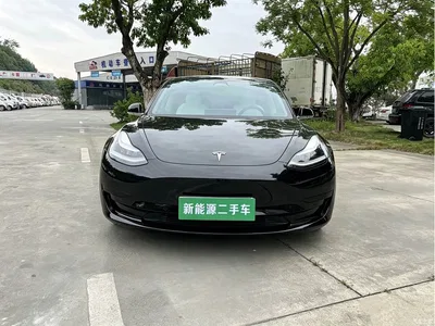 2020 Tesla Model 3 Standard Range Rear-Wheel Drive Upgrade, фото 2, лот 10360142