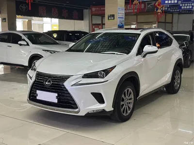 2020 Lexus NX 200 AWD F Sport China VI, фото 1, лот 10318843