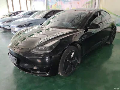 2022 Tesla Model 3 Model Rear-Wheel Drive Version, фото 2, лот 10370828