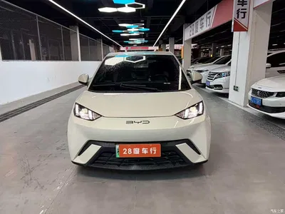 2024 BYD Seagull Glory Edition 305km Freedom Edition, фото 2, лот 11499758