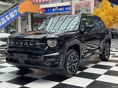 2025 Haval Second-Generation Big Dog New Energy Hi4 145km Premium Edition, фото 1, лот 11170866