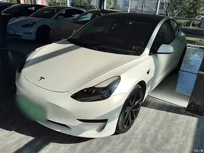 2021 Tesla Model 3 Standard Range Rear-Wheel Drive Upgrade, фото 1, лот 10369374
