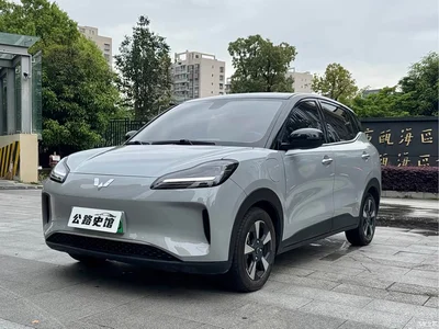 2024 Wuling Motors Wuling Binguo PLUS Model 330km 5-Seater, фото 1, лот 10836445