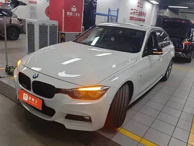 2019 BMW 3 Series 320Li M Sport Black Night Edition, фото 1, лот 11181024