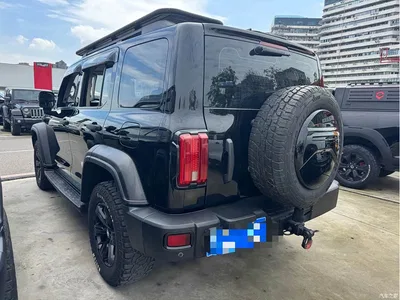 2021 Tank 300 Off-road Version 2.0T Conqueror, фото 4, лот 11181665