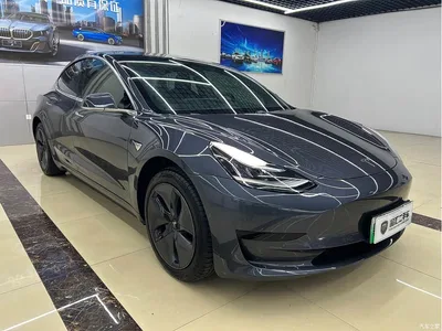 2019 Tesla Model 3 Standard Range Rear-Wheel Drive Upgrade, фото 3, лот 10361913