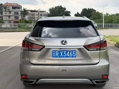 2020 Lexus RX 300 AWD Elegance Edition China V, фото 3, лот 10571036