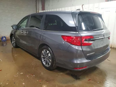 2023 HONDA ODYSSEY EXL, фото 2, лот 10725348