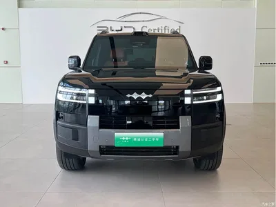 2025 Byd Titanium 7 AWD Base Model, фото 2, лот 10828730