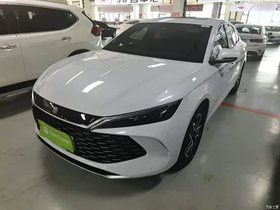 2024 BYD Qin L DM-i 120KM Superior Edition, фото 2, лот 10265892