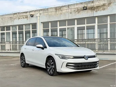 2025 Volkswagen Golf 300TSI Pro, фото 3, лот 10450837