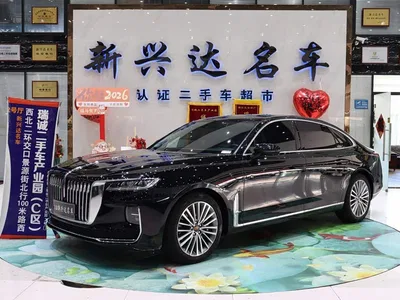2020 Hongqi H9 2.0T Smart Connection Qi Xiang Edition, фото 1, лот 10287825