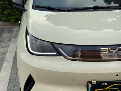 2025 BYD Dolphin Smart Drive Edition 420km Freedom Version, фото 4, лот 10391987