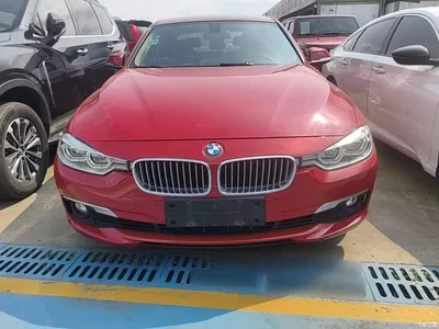 2018 BMW 3 Series 320Li Fashion Style, фото 3, лот 10457718