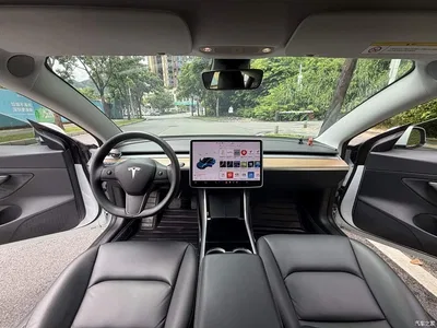 2020 Tesla Model 3 Standard Range Rear-Wheel Drive Upgrade, фото 3, лот 10352127