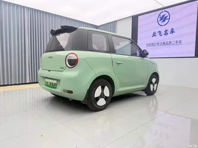 2023 Changan Qiyuan Changan Lumin Model 205km Fragrant Edition, фото 4, лот 10406756
