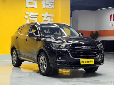 2021 Haval H6 Model 1.5T Automatic Champion Edition, фото 3, лот 10281380