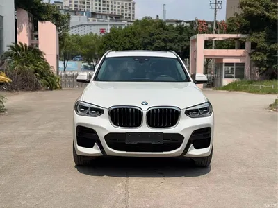 2021 BMW X3 xDrive25i M Sport Package, фото 2, лот 11218220