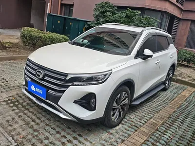 2020 GAC Trumpchi Trumpchi GS4 270T Automatic Smart Connect Tech Version, фото 1, лот 11104184