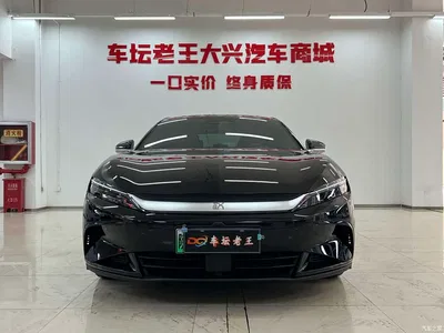 2025 BYD Han DM-i 125KM Elite, фото 3, лот 10246996