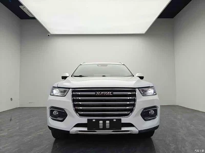 2020 Haval H6 1.5GDIT Automatic Platinum Luxury Edition, фото 2, лот 11546798