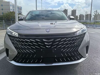 2023 Roewe RX5 1.5T Honor Slide Screen Edition, фото 2, лот 11002556