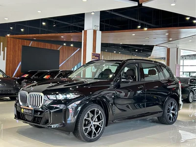 2023 BMW X5 xDrive 30Li Premium M Sport Black Night Package, фото 1, лот 10463178