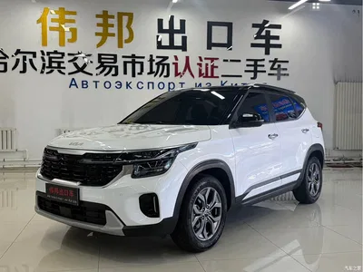2023 Kia Seltos 1.5L CVT Luxury Edition, фото 1, лот 10336360