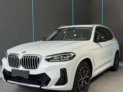 2022 BMW X3 xDrive25i M Sport Package, фото 1, лот 10675342