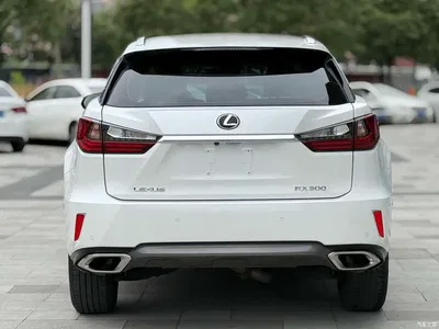 2016 Lexus RX 300 2WD Elite Edition (China V), фото 4, лот 10313107