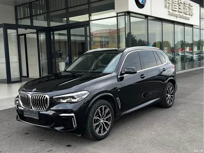 2022 BMW X5 Facelift xDrive 30Li M Sport Package, фото 1, лот 10462705