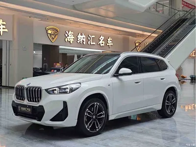 2023 BMW X1 sDrive25Li M Sport Package, фото 1, лот 11179447