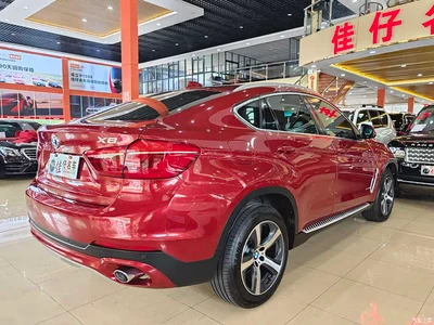 2015 BMW X6 xDrive35i Leading Type, фото 4, лот 10468955