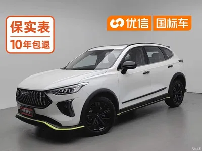 2021 Haval Chitu Turbo Edition 1.5T Golden Rabbit, фото 1, лот 10301351