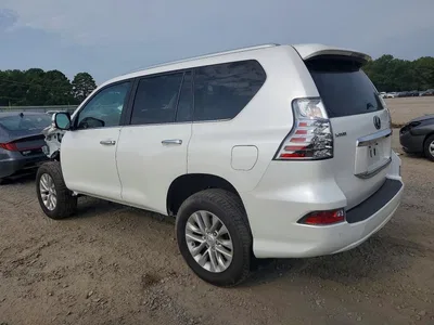 2023 LEXUS GX 460, фото 2, лот 10597889