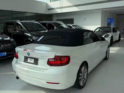2015 BMW 2 Series (Import) 220i Convertible Coupe Leading, фото 4, лот 10345292