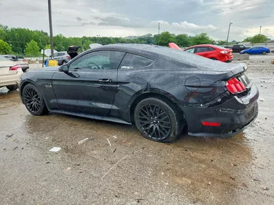 2016 FORD MUSTANG GT, фото 2, лот 10571714