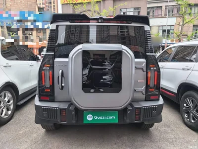 2023 Jetour Traveler Model 2.0T 4WD Cross PRO, фото 4, лот 10434364