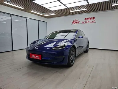 2020 Tesla Model 3 Facelift Long Range Rear-Wheel Drive, фото 1, лот 10399940