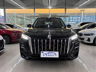 2023 Hongqi HS5 2.0T Flag Enjoy Pro Edition, фото 1, лот 10288999
