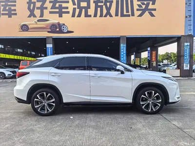 2020 Lexus RX 300 4WD Elegance Edition China VI, фото 4, лот 10837752
