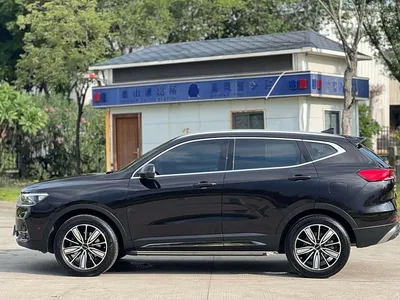 2021 Haval H6 National Trend Edition 1.5GDIT Automatic Super Luxury Edition, фото 2, лот 11538232