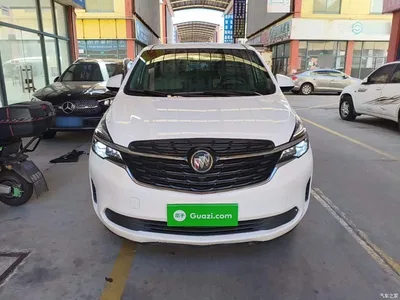 2021 Buick GL8 Land Business Class 652T Comfort, фото 3, лот 10258314