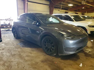 2023 TESLA MODEL Y, фото 4, лот 10852479
