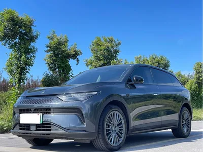 2023 Leapmotor C11 Extended Range 300 Comfort Edition, фото 1, лот 10334477