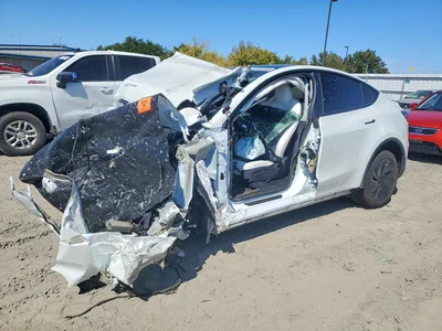 2026 TESLA MODEL Y, фото 1, лот 10856507